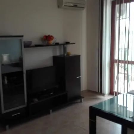Apolon 6 네세부르